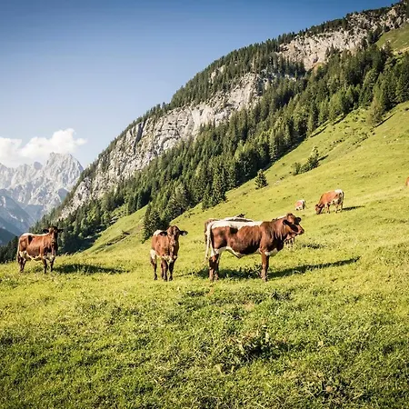 Im Modernen Landhauscharme Mit Bergblick Und Garten Nyaraló *